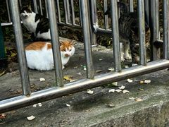 -大蜀山国家森林公园