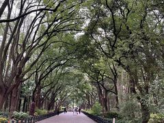 -共青国家森林公园-售票处