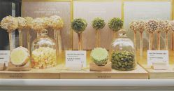 -悦诗风吟innisfree
