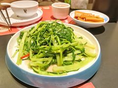 -羽鸽集·乳鸽专门店·地道顺德菜(岭南站店)