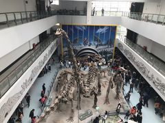 -中国地质大学逸夫博物馆