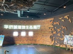 -华侨城湿地公园