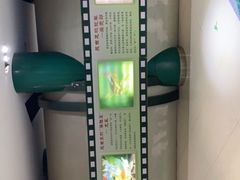 -上海昆虫博物馆