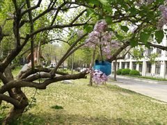 -大连理工大学(凌水校区)