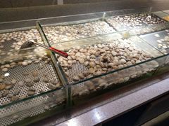 -金权道韩式自助烤肉(嘉华国际店)