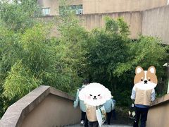 -新江湾城公园