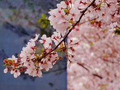-龙美术馆(西岸馆)