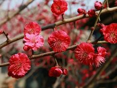 -红石寨旅游度假区