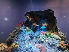 -中国湿地博物馆