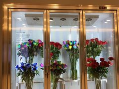 -ROSEONLY诺誓(国际广场购物中心店)