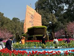 -南山植物园