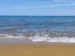-渡海小渔村.老辈日照菜