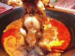 -老天桥蛙炉火锅(姑苏总店)