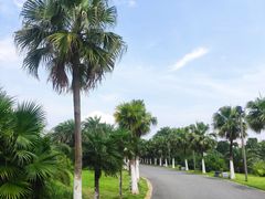 -瑶湖郊野森林公园