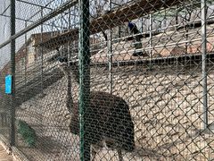 -北京鹿世界主题园