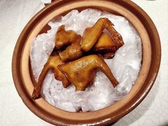 -大鸽饭(动物园店)