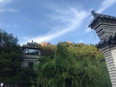-老张烤羊(王哥庄店)