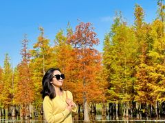 -白鹭湾湿地公园