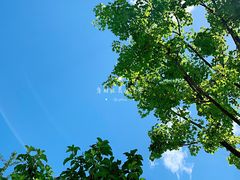 -首都医科大学附属北京潞河医院
