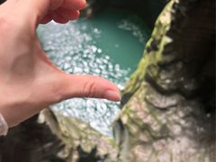 -蝶舞清江·恩施地心谷景区