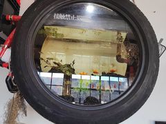 -陶野咖啡·面包披萨