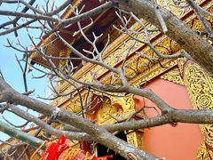 -西双版纳总佛寺