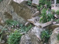 -尧山风景区