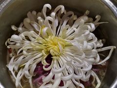 -华强阁菊花宴自助火锅店