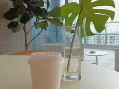 靠窗位-COFFEEOLOGY咖啡学(天银店)