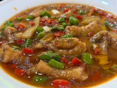 -源泉冷水鱼庄(小鱼洞店)