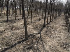 -天津东丽湖风景区