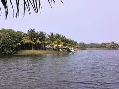 android_upload_pic-白沙门生态公园