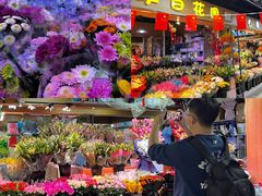 -大自然花鸟鱼虫市场