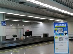 -绵阳南郊机场