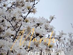 -睦南公园