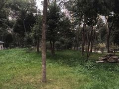 -卓锦曼购中心(国香街店)