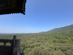 -灵谷景区