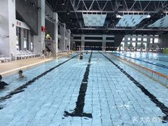 -野马渡文体中心游泳·健身