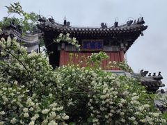 -潭柘寺景区