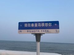 -北戴河碧螺塔海上酒吧公园
