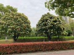 -栈逗电竞馆·胶囊房(萧山旺角城店)