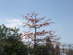 -大嶝英雄三岛战地观光园