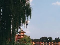 -后海公园