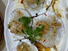 蒜茸粉丝蒸元贝-北海渔村酒楼·粤菜海鲜点心(新华店)