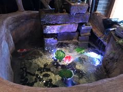 -Mountain House East Village 川山甲