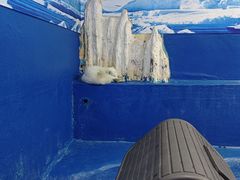 -重庆欢乐海底世界