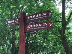 -清溪森林公园