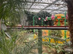 -南宫五洲植物乐园