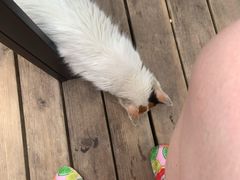 -龙达温泉生态城