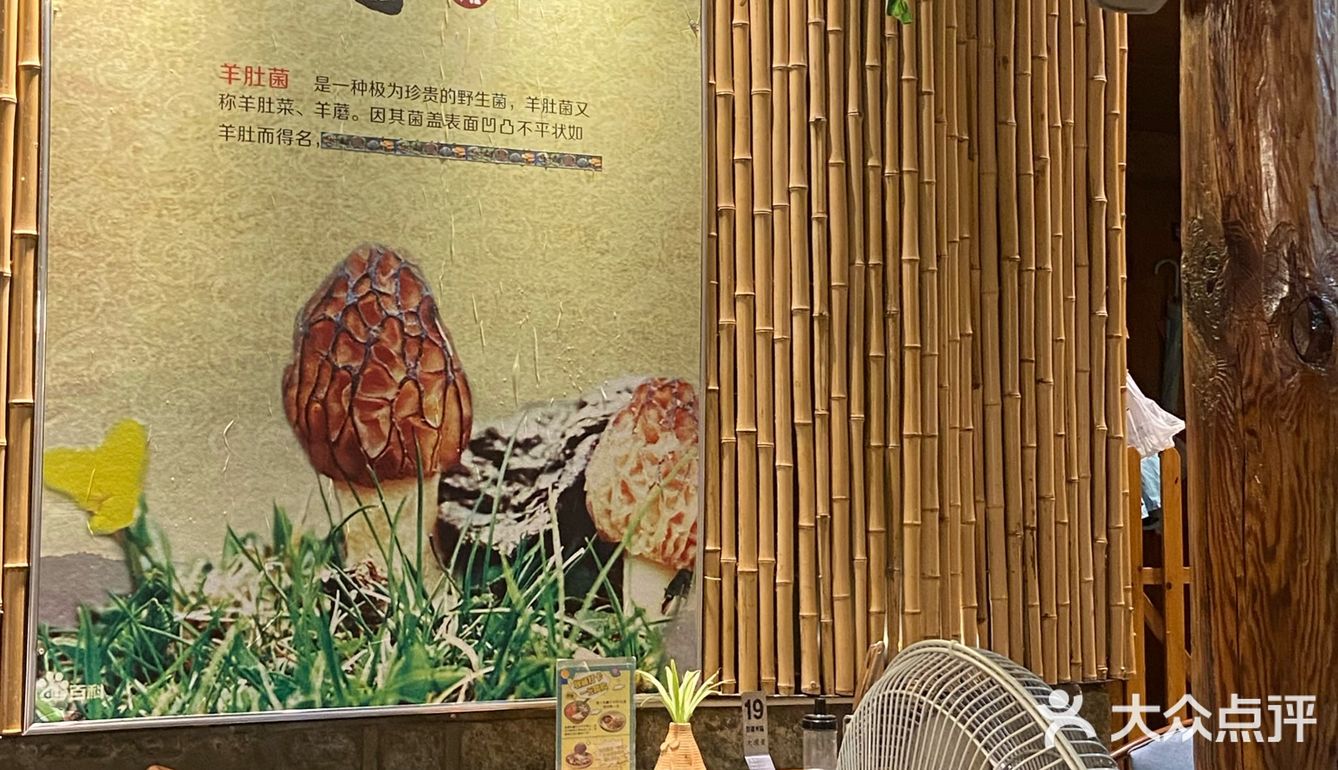 在大理！想吃野生菌火锅的姐妹看过来！